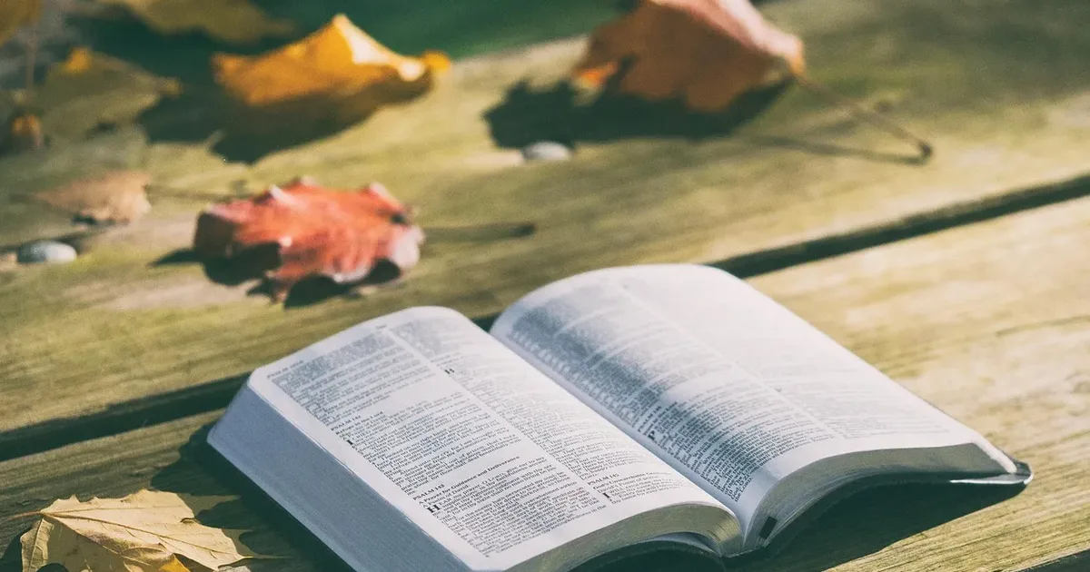 Open book on a weathered wooden table among fallen autumn leaves